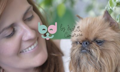 peluquería canina Barcelona